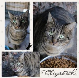 Elisabeth