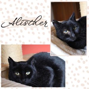 ALISTHER