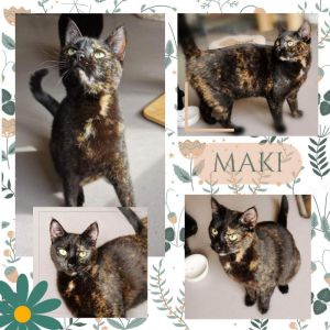MAKI