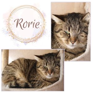RORIE